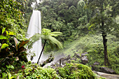 Git Git Wasserfall, Gitgit, Sukasada, Bali, Indonesien