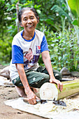 Balinese woman cutting a palm tree as food for a cow, Mayong, Seririt, Buleleng, Indonesia