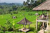 Restaurant above paddy fields, rice shrine, Iseh, Sidemen, Bali, Indonesia
