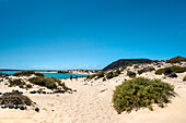 Strand, Playa de la Concha, Insel Lobos, Fuerteventura, Kanarische Inseln, Spanien