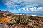 Blick über die Landschaft auf Playa de Cofete, Jandia Halbinsel, Fuerteventura, Kanarische Inseln, Spanien