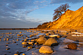 Nature Reserve Devin peninsula, Strelasund, Baltic sea, Stralsund, Mecklenburg-Vorpommern, Germany