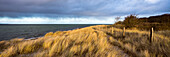 Beach at Eckernfoerder Bay, Noer, Rendsburg-Eckernfoerde, Schleswig-holstein, Germany