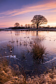 Kaltenhofer Moor bei Sonnenuntergang (Naturschutzgebiet), Dänischer Wohld, Rendsburg-Eckernförde, Schleswig-Holstein, Deutschland