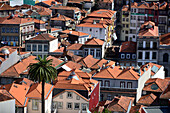 Blick vom Turm der Kirche dos Clérigos, Porto, Portugal