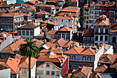 View from tower of the Clerigos church, Porto, Portugal