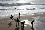 Surfers on the beach near Sagres, Algarve, Portugal