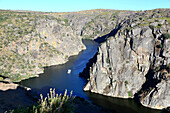 Douroschlucht near Miranda do Douro, Parque Natural do Duoro International, Tras-os-Montes, Northeast-Portugal, Portugal