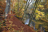 Herbst im Warnow-Durchbruchstal bei Eickhof, Naturpark Sternberger Seenland, Mecklenburg Vorpommern, Deutschland