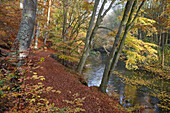 Autumn in Warnow Durchbruchstal near Eickhof, Sternberger Seenland Nature Park, Mecklenburg Vorpommern, Germany