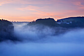 View to Wildenstein castle, Upper Danube Nature Park, Baden- Wuerttemberg, Germany