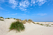 Dunes on Nordstrand, Norderney, Ostfriesland, Lower Saxony, Germany