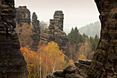 Leaning Tower at Bielatal, National Park Saxon Switzerland, Elbe Sandstone Mountains, Saxony, Germany