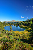 Lake Lago Colbricon, Trans-Lagorai, Lagorai range, Dolomites, UNESCO World Heritage Site Dolomites, Trentino, Italy