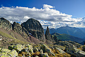 View to ridge with Campanile di Cece and Cima d'Asta, Cima di Cece, Trans-Lagorai, Lagorai range, Dolomites, UNESCO World Heritage Site Dolomites, Trentino, Italy
