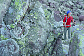 Woman hiking between boulders with rocks with lichen in foreground, Trans-Lagorai, Lagorai range, Dolomites, UNESCO World Heritage Site Dolomites, Trentino, Italy