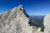 Rothörnl am Nurracher Höhenweg mit Kaisergebirge im Hintergrund, Nurracher Höhenweg, Loferer Steinberge, Tirol, Österreich