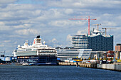 Cruise ship at the habour terminal, Hamburg, Germany