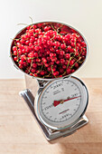 Weighing of redcurrants, making jam, Hamburg, Germany
