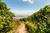 Path to Wadden Sea, Keitum, Sylt, Schleswig-Holstein, Germany