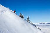 Freerider fährt ab, Freeridegebiet Haldigrat, Niederrickenbach, Oberdorf, Kanton Nidwalden, Schweiz