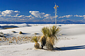 Dünenlandschaft, White Sands National Monument, New Mexico, USA