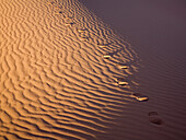 Fußspuren in der libyschen Wüste, Libyen, Sahara, Afrika