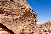 Stone engravings of a lizard in Wadi Mathendous, Wadi Barjuj, Stony Desert, Libya, Sahara, North Africa