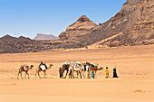 Kamel Karawane in der libyschen Wüste, Dromedare, Camelus dromedarius, Akakus Gebirge, Libyen, Sahara, Nordafrika