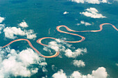 arial view of a river in rainforest