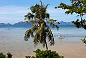 Bacuit-Archipel vor El Nido, Insel Palawan im Südchinesischen Meer, Philippinen, Asien