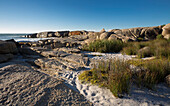 Sandy Bay, Atlantic Cape town, Western cape, South Africa