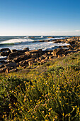 Sandy Bay, Atlantic Cape town, Western cape, South Africa