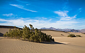 Death Valley National Park, Mojave Desert, Sierra Nevada, California, USA