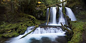 Panther Creek, Gifford Pinchot National Forest, Skamania County, Washington, USA