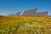 Solarpark am Peterswald im Sommer, Neuental, Hessen, Deutschland, Europa