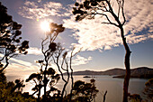 View from the top of Motuara Island to Long Island, Motuara Island, Outer Queen Charlotte Sound, Marlborough, South Island, New Zealand