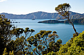 Blick von Gipfel von Motuara Island Richtung Long Island, Motuara Island, Outer Queen Charlotte Sound, Marlborough, Südinsel, Neuseeland