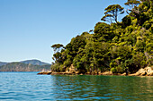 Küstenlandschaft in der Ship Cove, Marlborough, Outer Queen Charlotte Sound, Marlborough, Südinsel, Neuseeland