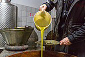 Olivenernte in der Toskana, Ölmühle von Andrea Boschi, extra vergine, kalt gepresstes Olivenöl, Ölmühle, Ölseperator, goldgelbes frisches Olivenöl, Toskana, Italien