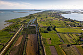 aerial photo of market garden island Sant'Erasmo, vegetable farms, horizon, green fields, fertile island, Venice, Lagoon, Italy