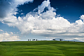 landscape near San Quirico d`Orcia, Val d`Orcia, province of Siena, Tuscany, Italy, UNESCO World Heritage