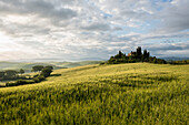 Landschaft bei San Quirico d'Orcia, Val d'Orcia, Provinz Siena, Toskana, Italien, UNESCO Welterbe