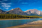 Athabasca River and the Canadian Rocky Mountains, Jasper National Park, Alberta, Canada