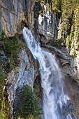Panther Falls in the Banff National Park, Alberta, Canada