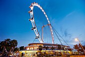 Singapore Flyer, the tallest Ferris wheel in the world, Singapore.