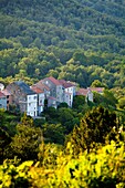 Village in the mountain zone of Corsica, France.