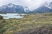 Torres del Paine National Park, Patagonia Chile.