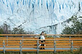 Tourists Watching Iceberg, Perito Moreno Glacier.