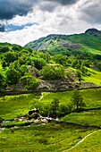 The River Brathay and Great Intake near Little Langdale in the Lake District, Cumbria, England.